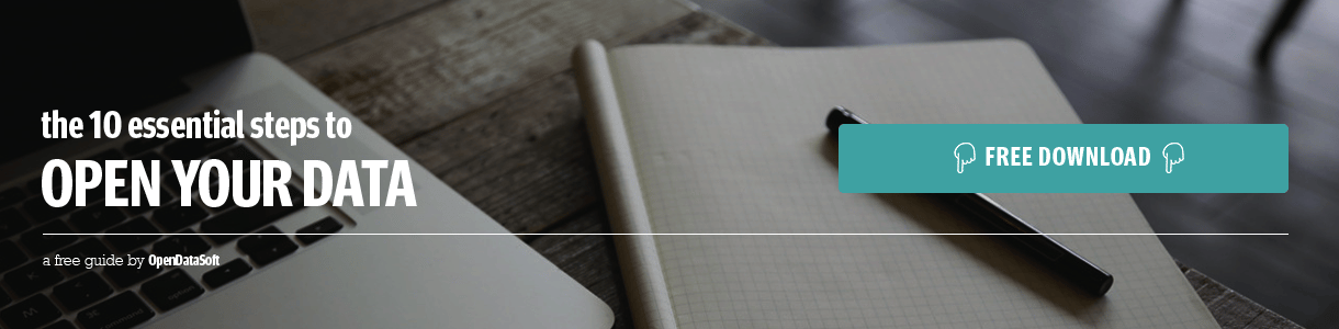 how-to-open-data-guide-opendatasoft.png